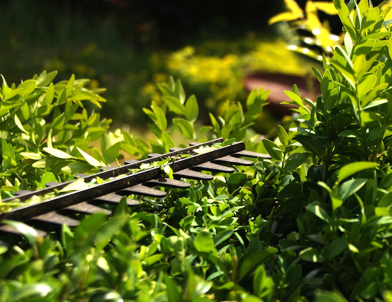 découvrez les services professionnels d'un paysagiste : aménagement de jardins, entretien des espaces verts, création de paysages uniques et conseils personnalisés pour valoriser votre extérieur.