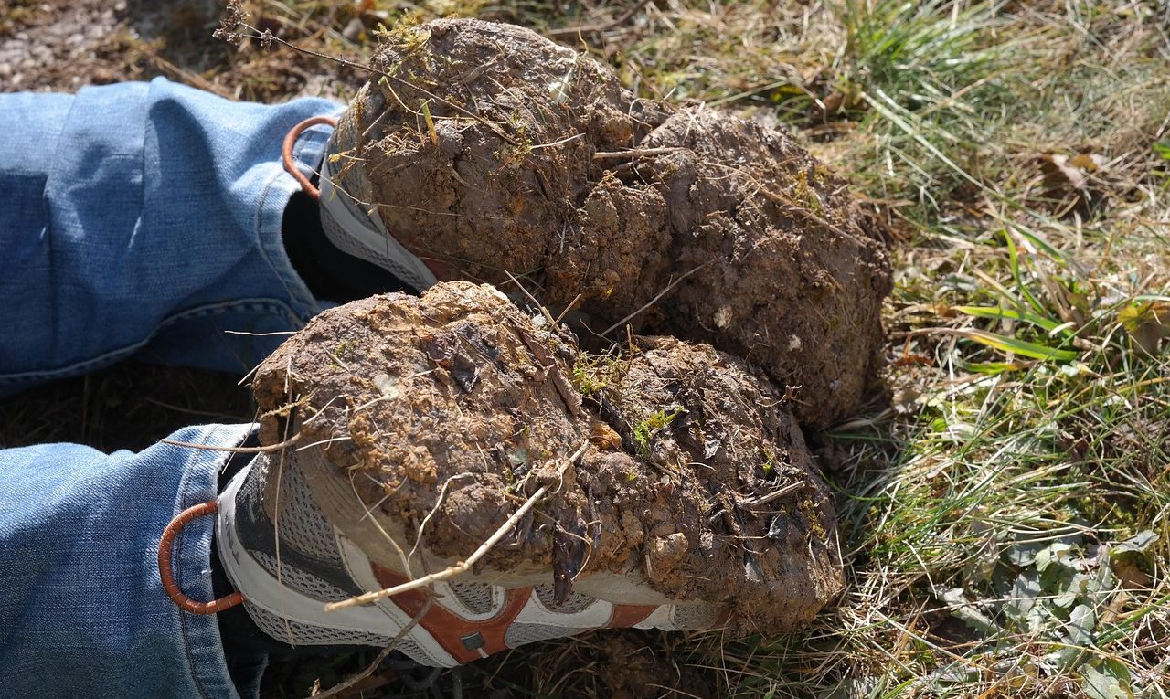 découvrez les services de paysagisme professionnels pour la création, l'aménagement et l'entretien de vos espaces verts. profitez d'un jardin harmonieux et soigné grâce à un paysagiste expérimenté.