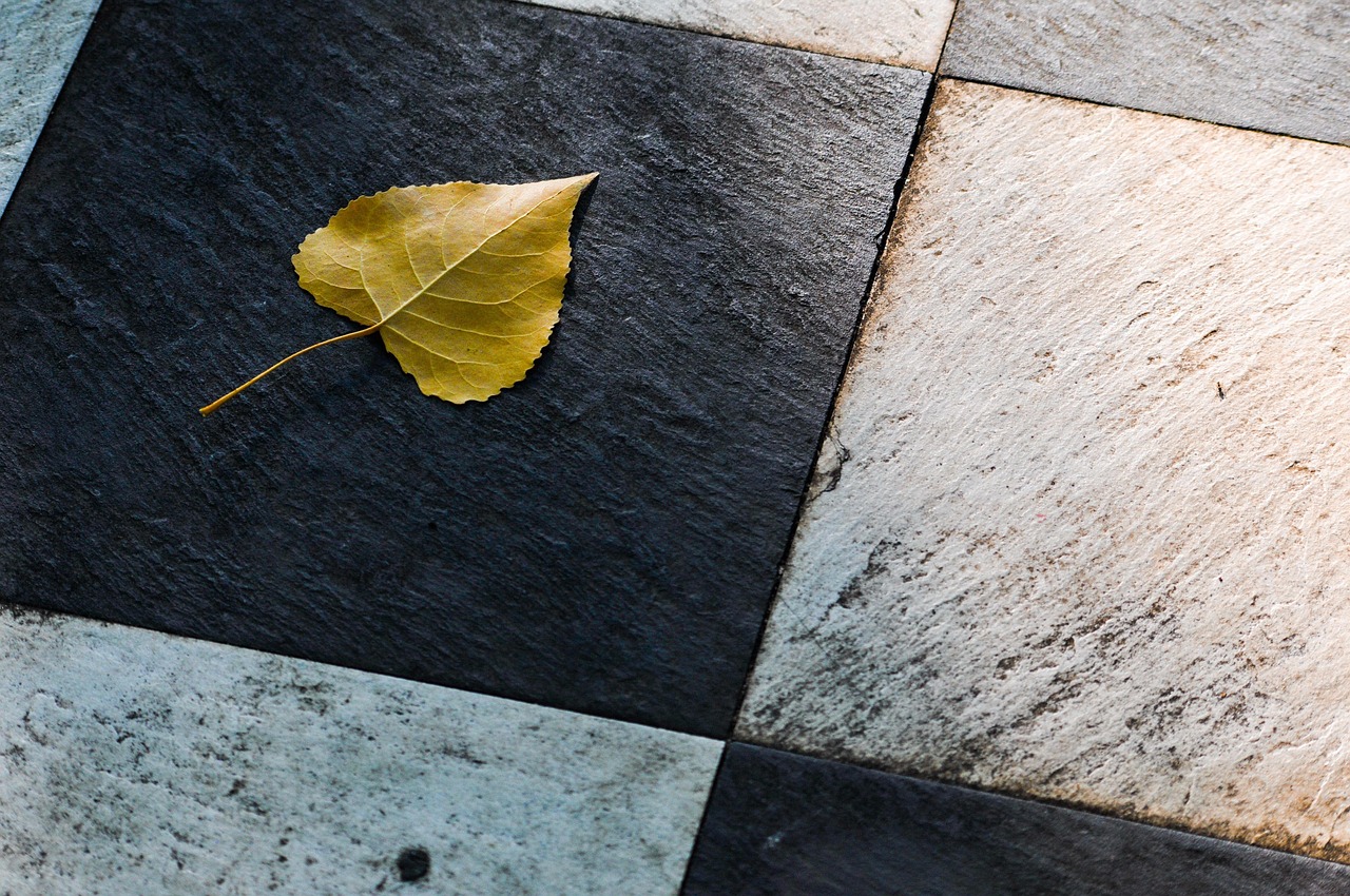 découvrez nos idées modernes pour transformer votre patio : conseils de décoration, mobilier contemporain et astuces pour créer un espace extérieur élégant et convivial.