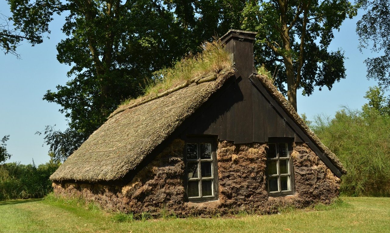 découvrez les étapes essentielles pour une installation de gazon en plaques (sod) réussie : conseils pratiques, préparation du sol et astuces pour obtenir une pelouse verdoyante et durable dans votre jardin.