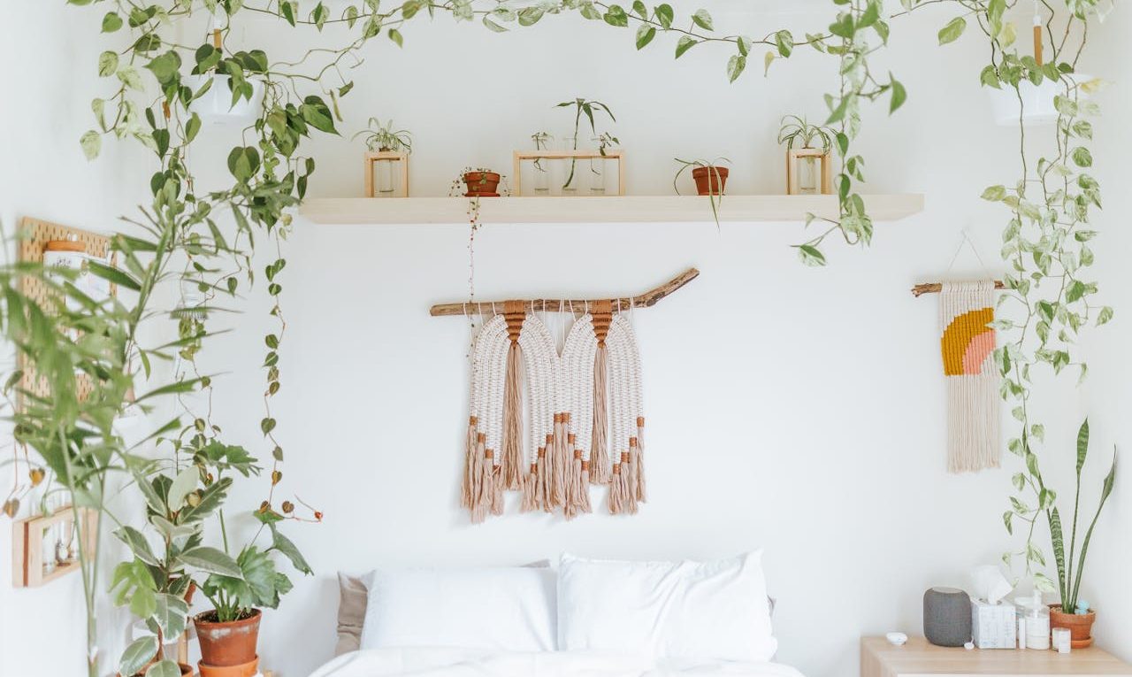 Les_guirlandes_lumineuses