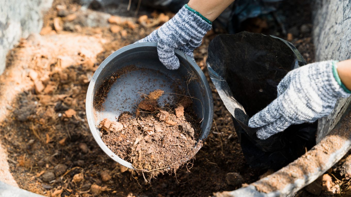 compost industriel