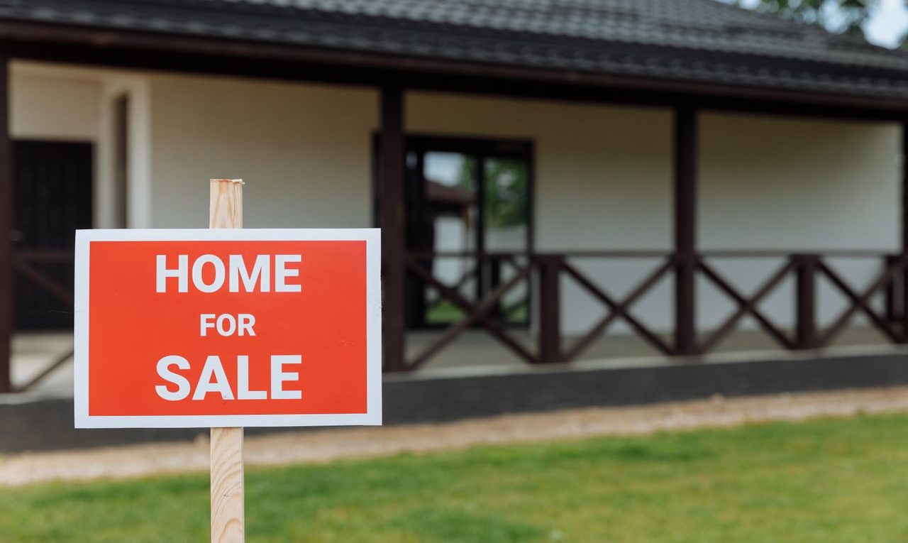 bien immobilier terrain
