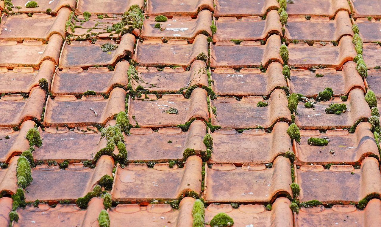 découvrez nos services de couverture de toiture professionnels pour protéger et embellir votre maison avec des matériaux de qualité et une installation experte.