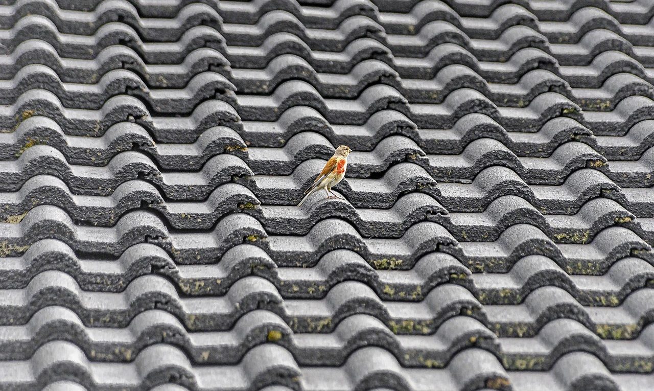 découvrez les avantages de la toiture en tuiles : durabilité, esthétisme et protection optimale pour votre maison.