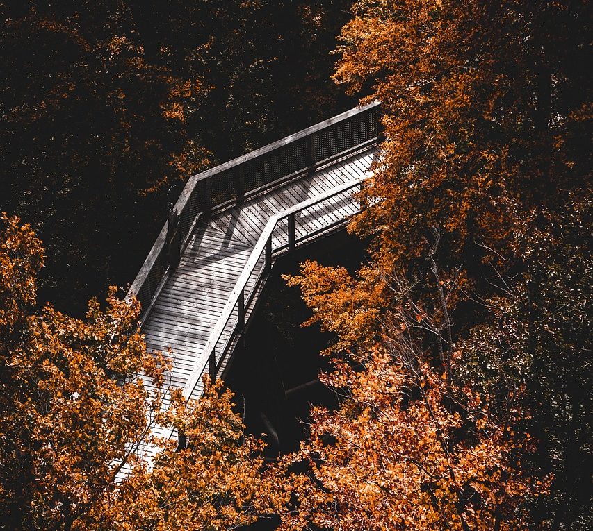 découvrez la mindfulness, ou pleine conscience, et apprenez à mieux gérer le stress, cultiver votre attention et vivre pleinement chaque instant.